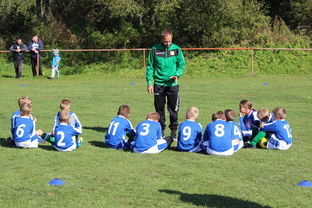 爱游戏app推荐-国足对不同战术体系适应能力评估，国足体能与技术分析