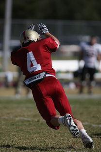 爱游戏app注册-德甲球队视频分析辅助防守站位调整的实证研究，德甲身体对抗